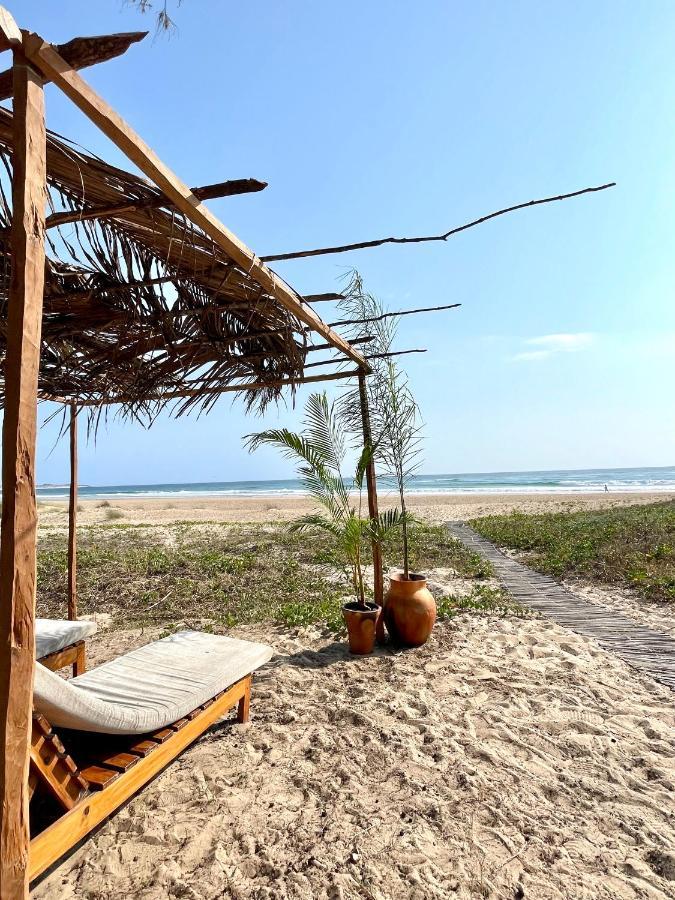 Bed and Breakfast Liquid Dive Adventures Praia do Praia do Tofo Zewnętrze zdjęcie