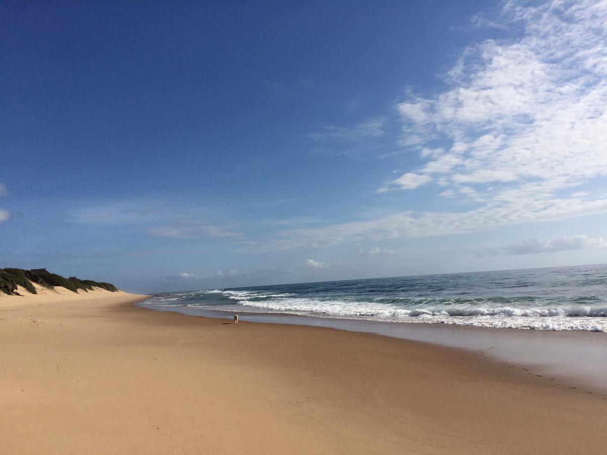 Bed and Breakfast Liquid Dive Adventures Praia do Praia do Tofo Zewnętrze zdjęcie